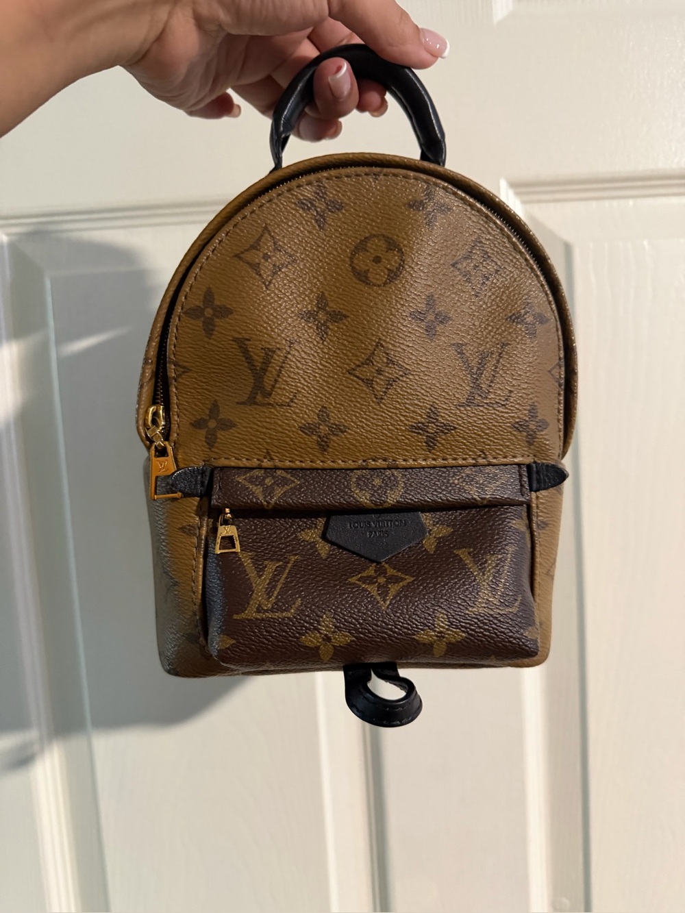 Louis Vuitton Palm Springs mini in reverse monogram